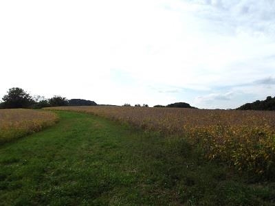 135-acres Sand Hill Road Boscobel, WI 53805 - Photo 14 of 27