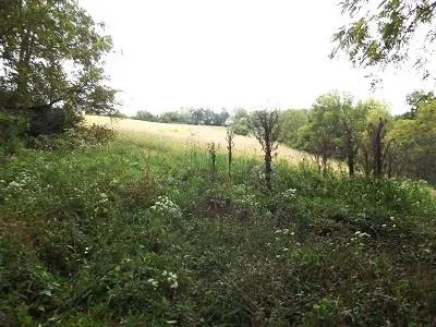 $2,025,000 | 135-acres Sand Hill Road, Boscobel, WI 53805