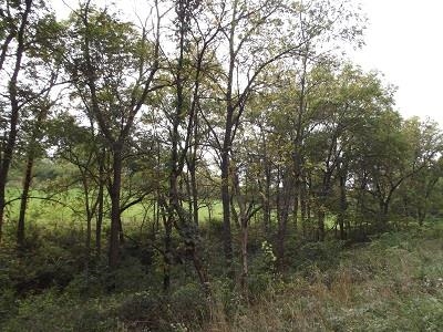 135-acres Sand Hill Road Boscobel, WI 53805 - Photo 16 of 27