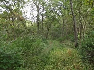 $2,025,000 | 135-acres Sand Hill Road, Boscobel, WI 53805