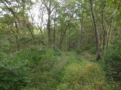 135-acres Sand Hill Road Boscobel, WI 53805 - Photo 17 of 27