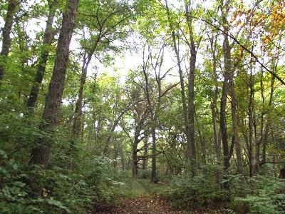 135-acres Sand Hill Road Boscobel, WI 53805 - Photo 18 of 27