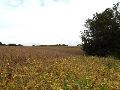 $2,025,000 | 135-acres Sand Hill Road, Boscobel, WI 53805