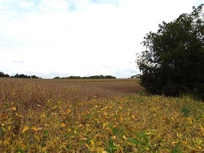 135-acres Sand Hill Road Boscobel, WI 53805 - Photo 20 of 27