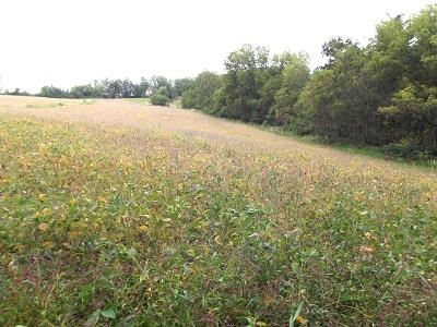 135-acres Sand Hill Road Boscobel, WI 53805 - Photo 2 of 27
