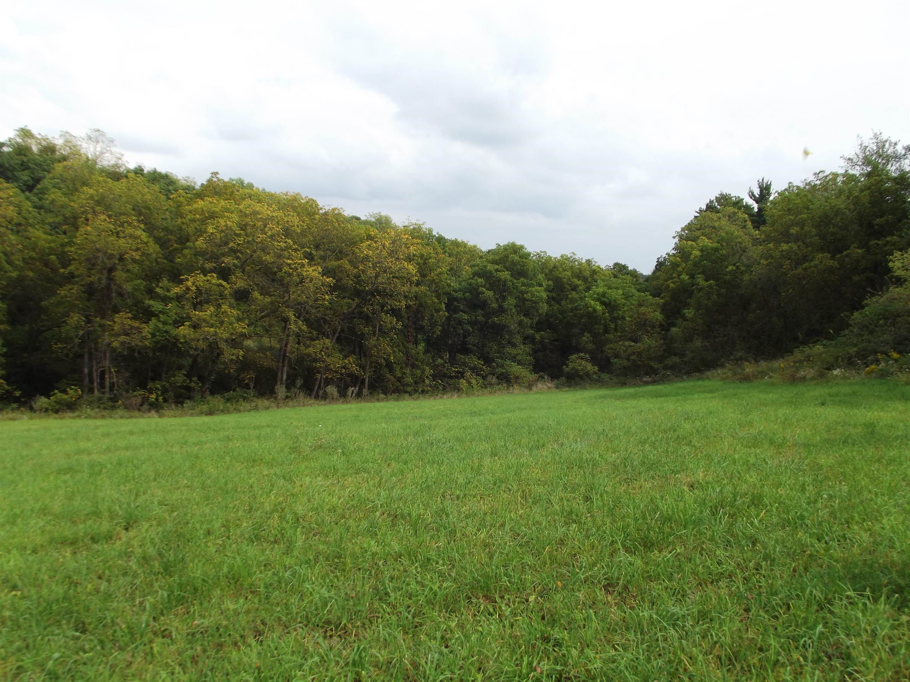 135-acres Sand Hill Road Boscobel, WI 53805 - Photo 21 of 27