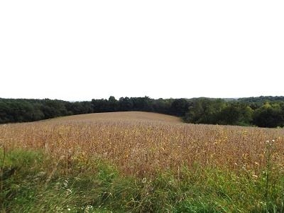 135-acres Sand Hill Road Boscobel, WI 53805 - Photo 23 of 27