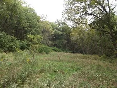 $2,025,000 | 135-acres Sand Hill Road, Boscobel, WI 53805