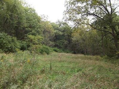 135-acres Sand Hill Road Boscobel, WI 53805 - Photo 24 of 27