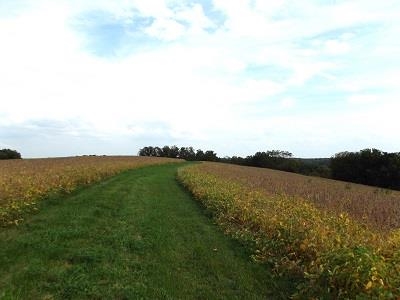 135-acres Sand Hill Road Boscobel, WI 53805 - Photo 25 of 27