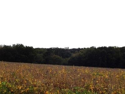 135-acres Sand Hill Road Boscobel, WI 53805 - Photo 26 of 27