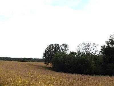 $2,025,000 | 135-acres Sand Hill Road, Boscobel, WI 53805
