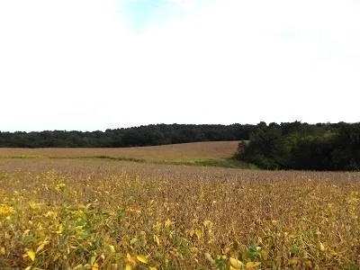 $2,025,000 | 135-acres Sand Hill Road, Boscobel, WI 53805