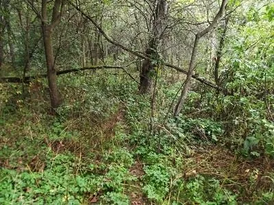 $2,025,000 | 135-acres Sand Hill Road, Boscobel, WI 53805