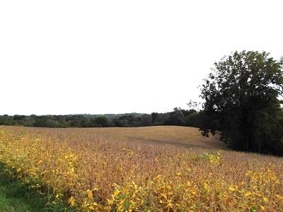 135-acres Sand Hill Road Boscobel, WI 53805 - Photo 6 of 27