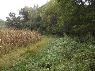 $2,025,000 | 135-acres Sand Hill Road, Boscobel, WI 53805