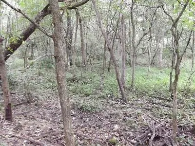 $2,025,000 | 135-acres Sand Hill Road, Boscobel, WI 53805