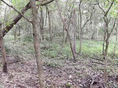 135-acres Sand Hill Road Boscobel, WI 53805 - Photo 9 of 27