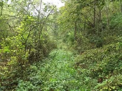 $2,025,000 | 135-acres Sand Hill Road, Boscobel, WI 53805