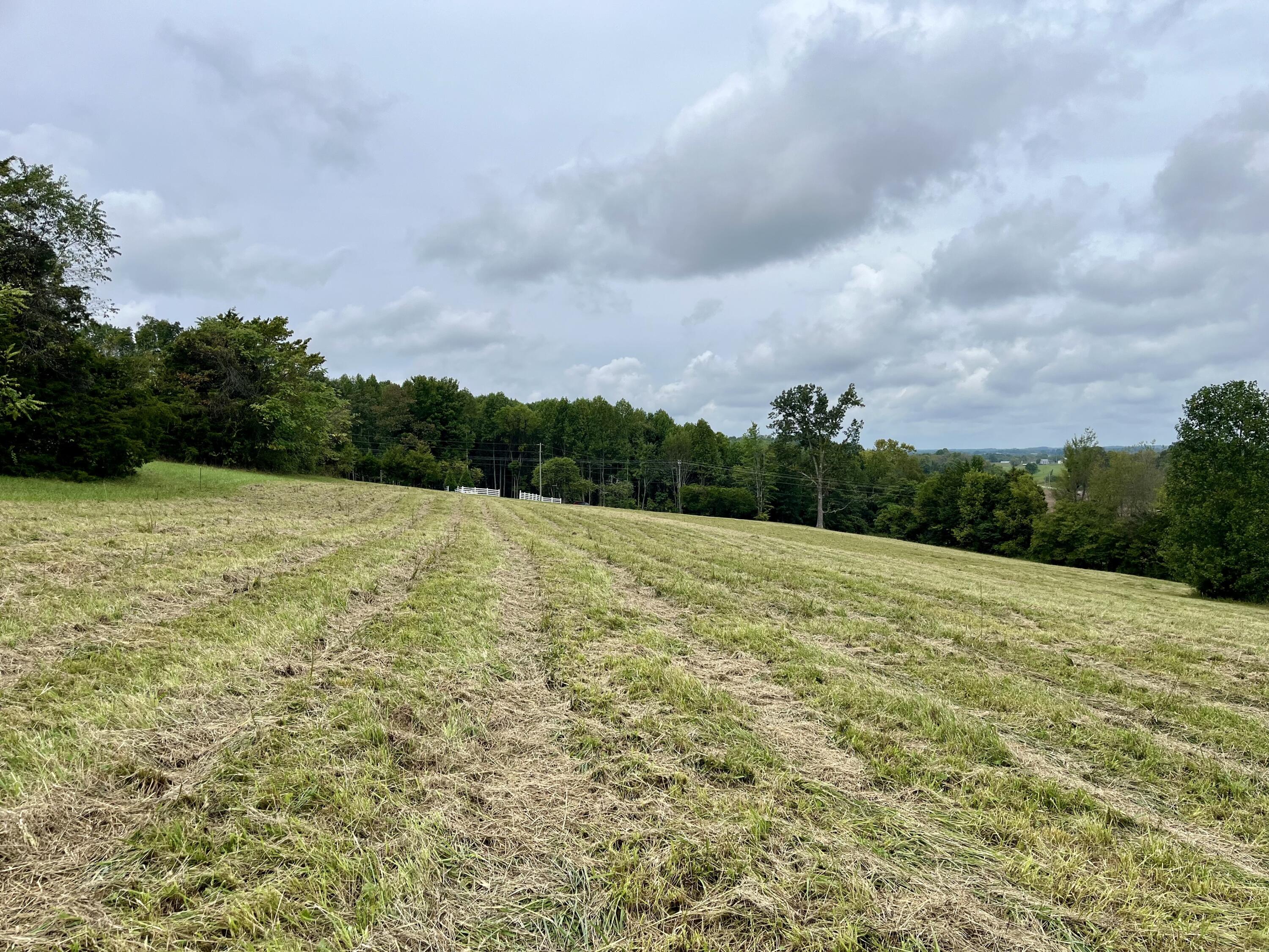 Lot 5 Smith Ridge Road Eubank, KY 42567 - Photo 22 of 24 IMG_4435 2