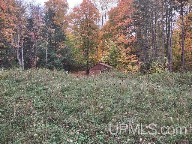 5800 Wolf Lake Road Watersmeet, MI 49969 - Photo 51 of 86