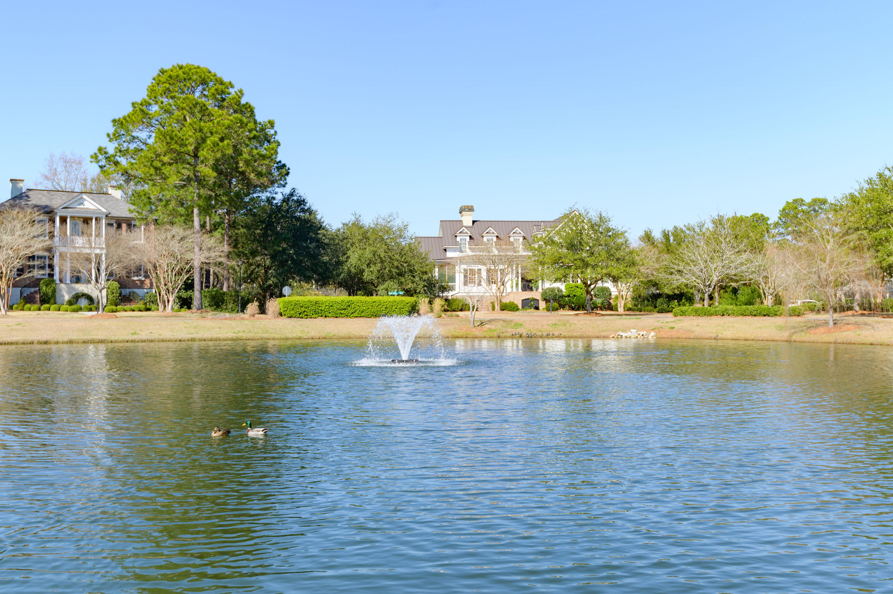310 Pilots Point Mount Pleasant, SC 29464 - Photo 51 of 51 Neighborhood Lake