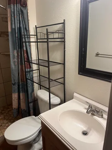 a bathroom with a sink toilet and mirror