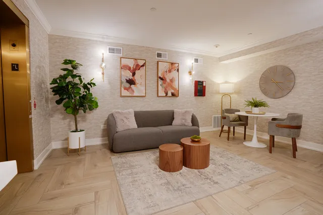 a living room with furniture a potted plant and a lamp