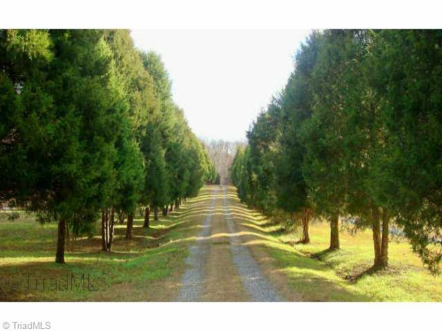 588 Estes Road Reidsville, NC 27320 - Photo 1 of 9 Exterior Front. Gravel driveway leading up to property is beautifully lined with cypress trees.