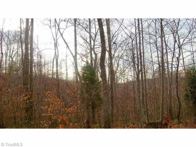 588 Estes Road Reidsville, NC 27320 - Photo 4 of 9 Other. Acreage is mostly wooded with a clearing for the dwelling.