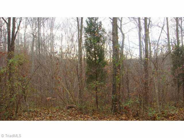 588 Estes Road Reidsville, NC 27320 - Photo 8 of 9 Other. Wooded acreage gives lots of privacy