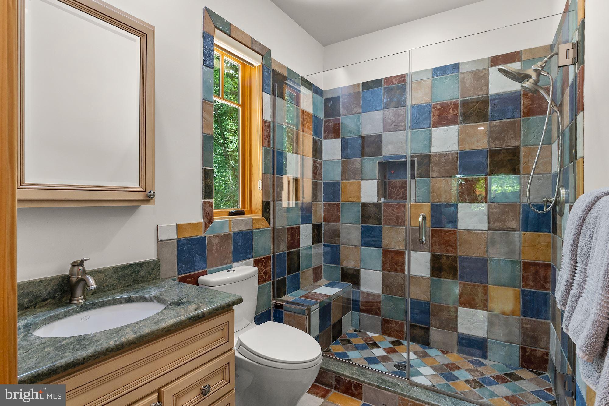 7400 Nevis Road Bethesda, MD 20817 - Photo 36 of 47 a bathroom with a granite countertop toilet a sink and a shower