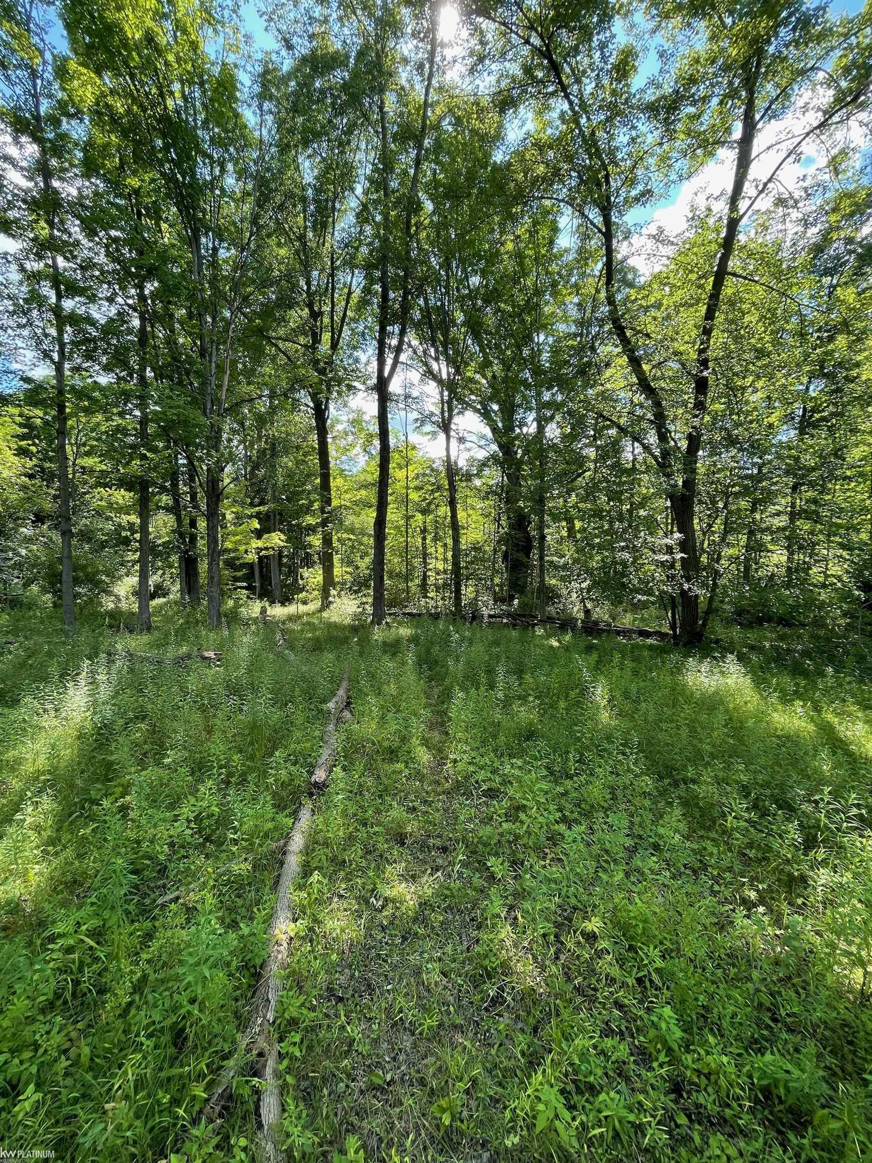 Rattle Run Road St. Clair, MI 48079 - Photo 5 of 11