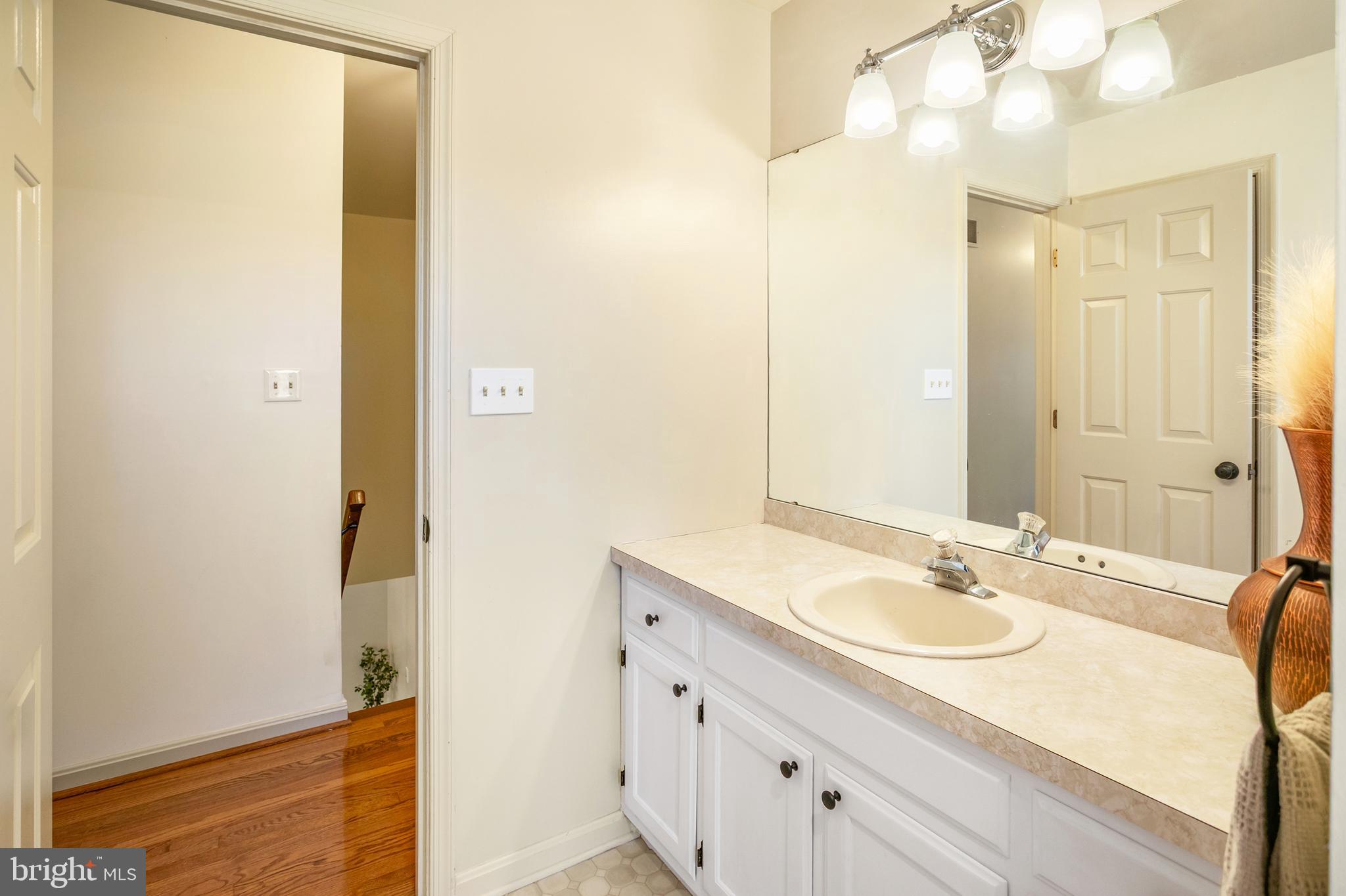 11946 Ropp Lane Lovettsville, VA 20180 - Photo 23 of 48 a bathroom with a sink and a mirror