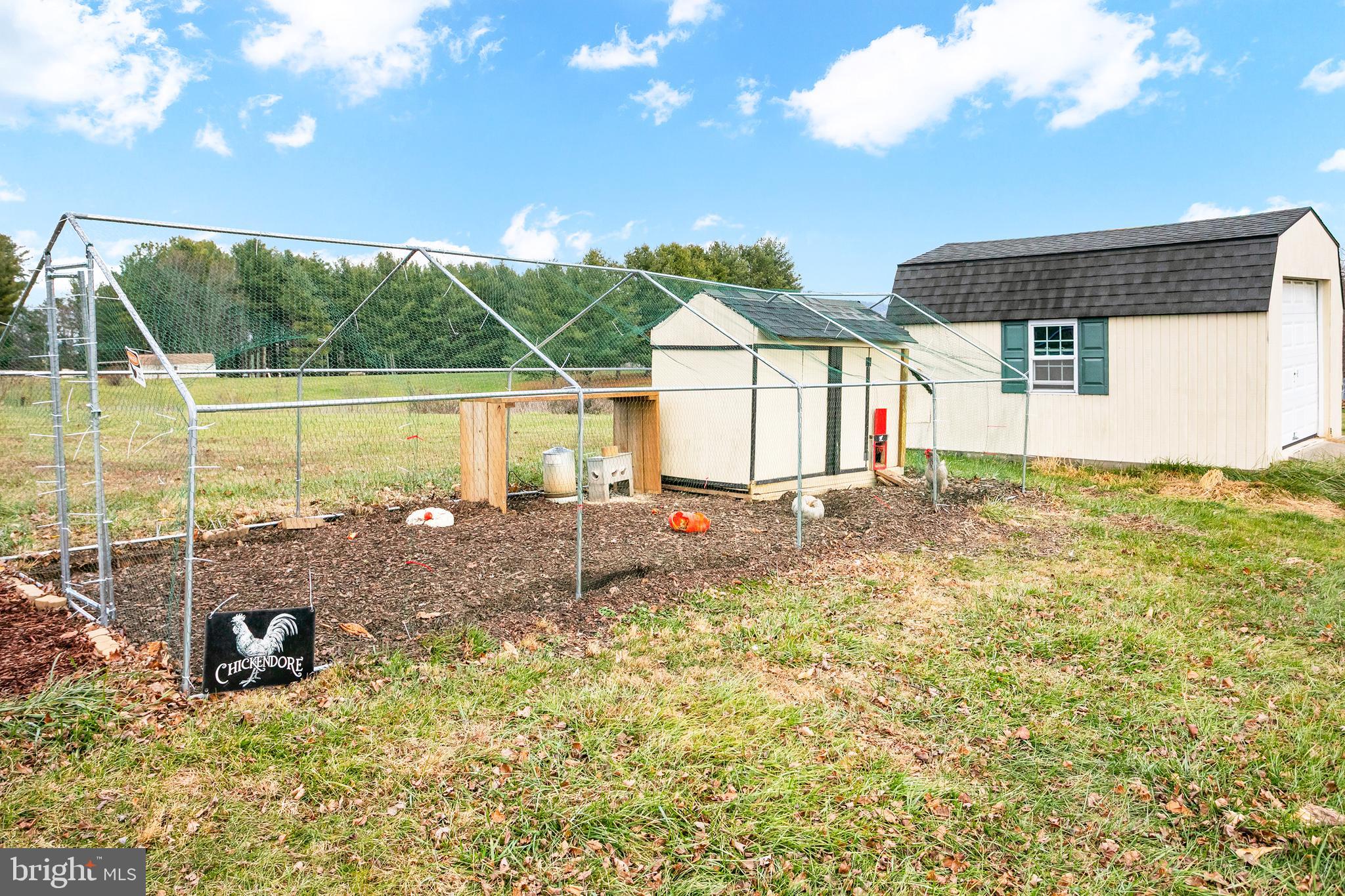 11946 Ropp Lane Lovettsville, VA 20180 - Photo 34 of 48 a view of a house with backyard and sitting area