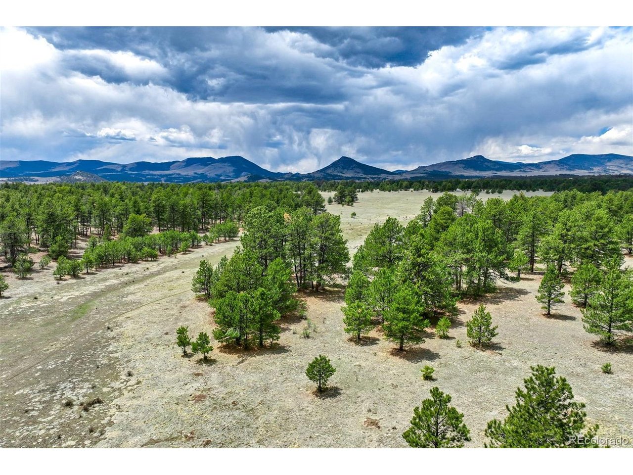 103 Doe Valley Road Guffey, CO 80820 - Photo 22 of 46