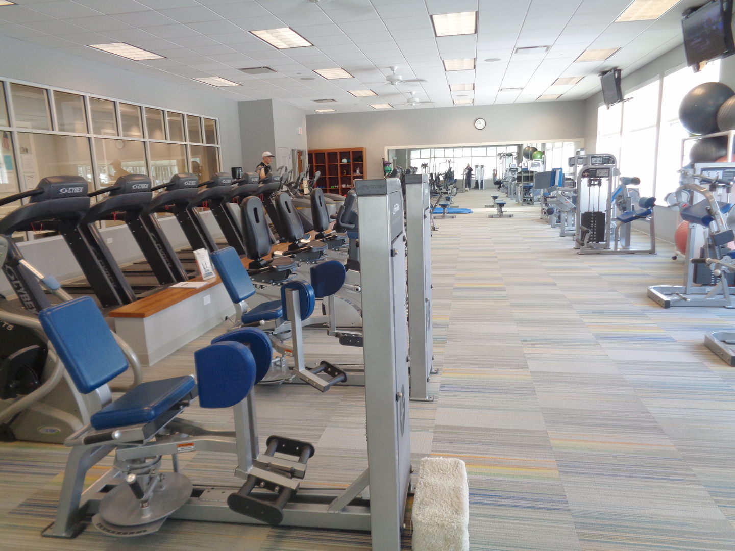 647 Tuscan View Drive Elgin, IL 60124 - Photo 20 of 23 a view of a room with gym equipment