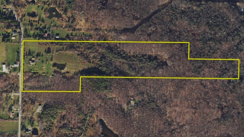 9419 South Hill Road Colden, NY 14033 - Photo 50 of 50 Gallery Image 50