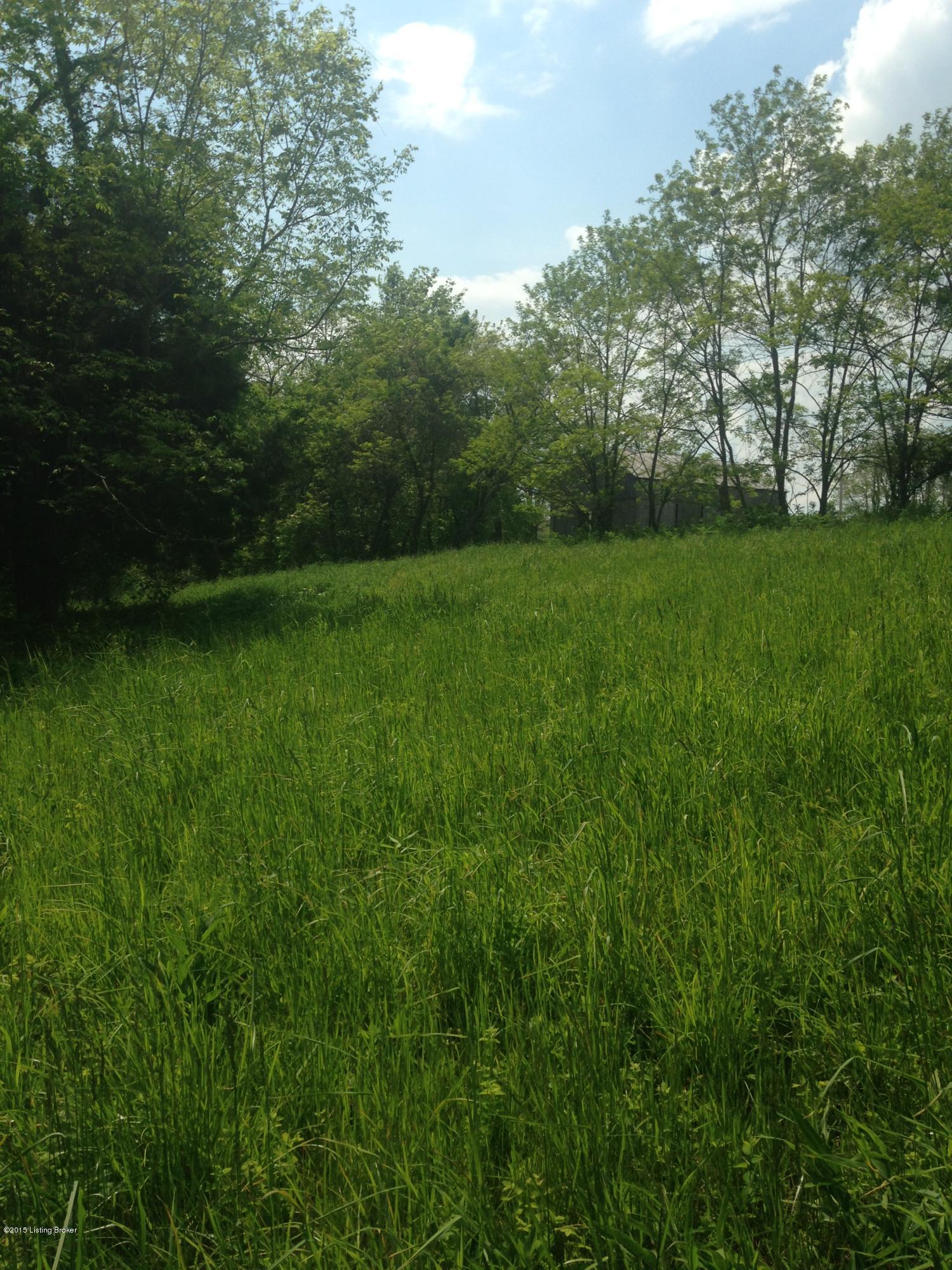 Open field for building site at far end of property from easement & Donovan Rd. Tucked close to trees for privacy.