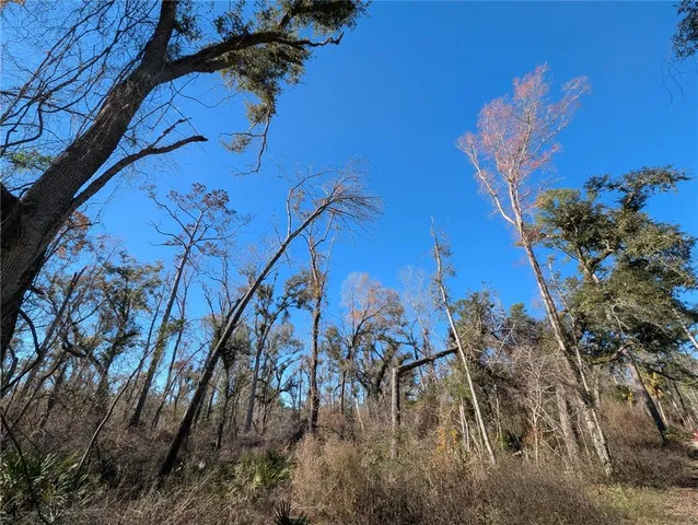 a view of a yard with a tree