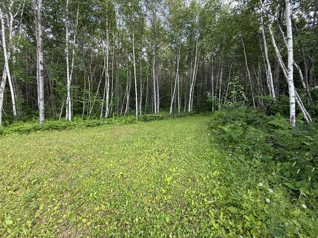 Tbd North Moose Lake Road Northeast Pennington, MN 56663 - Photo 11 of 26