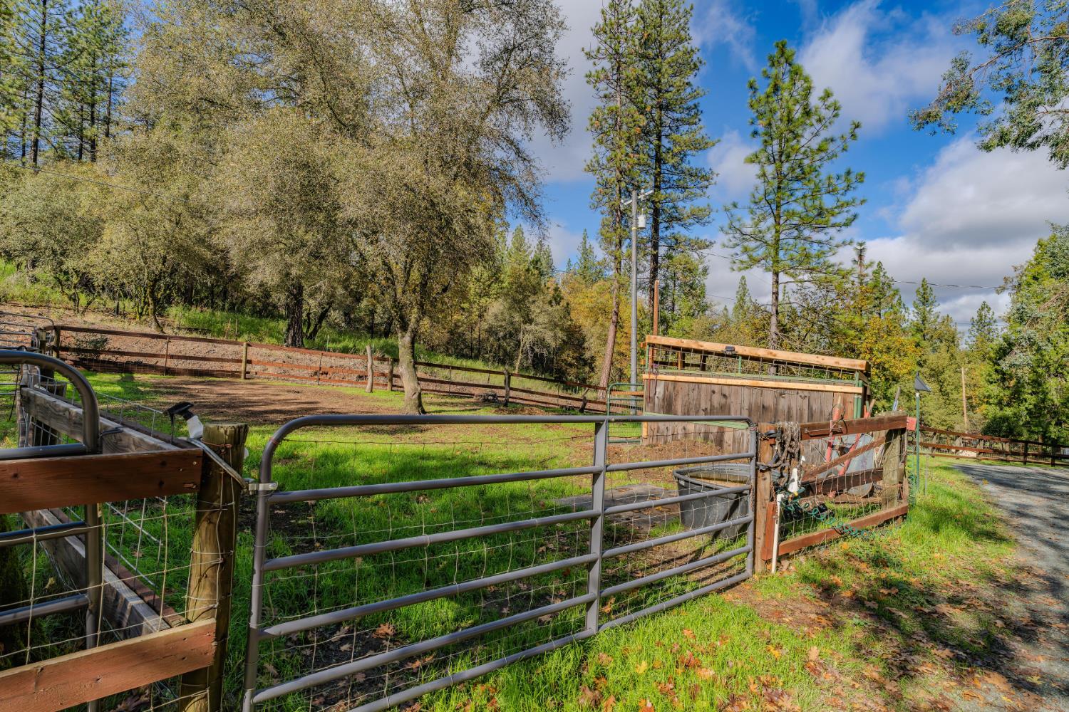 23070 Lawrence Road Fiddletown, CA 95629 - Photo 27 of 61