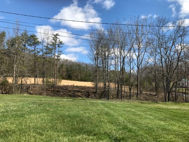 124 Morris Hill Road Covington, VA 24426 - Photo 43 of 60 View