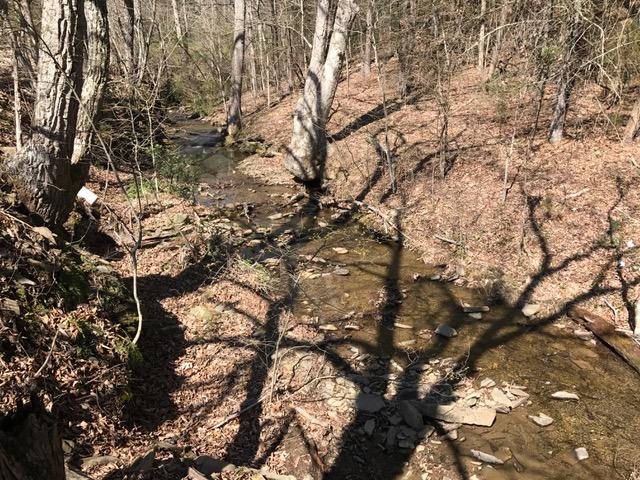 124 Morris Hill Road Covington, VA 24426 - Photo 46 of 60 Small Creek