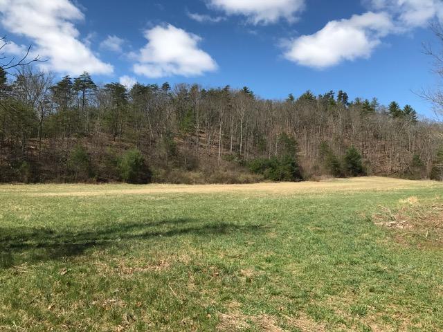 124 Morris Hill Road Covington, VA 24426 - Photo 49 of 60 View