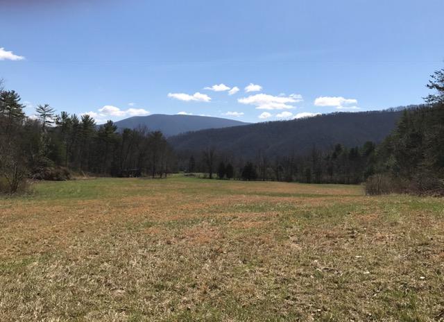 124 Morris Hill Road Covington, VA 24426 - Photo 53 of 60 Land