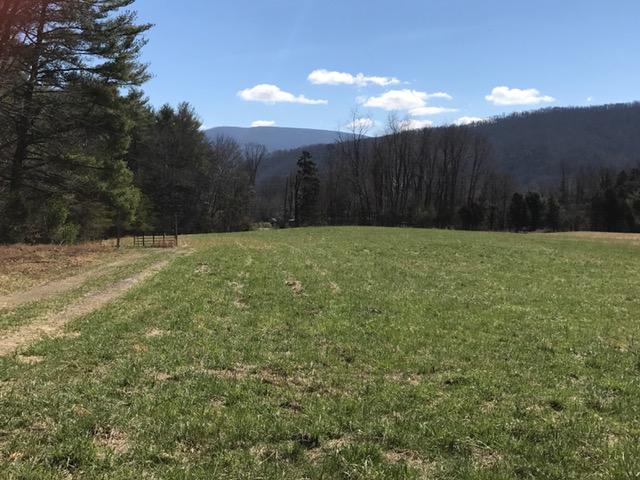 124 Morris Hill Road Covington, VA 24426 - Photo 54 of 60 Land