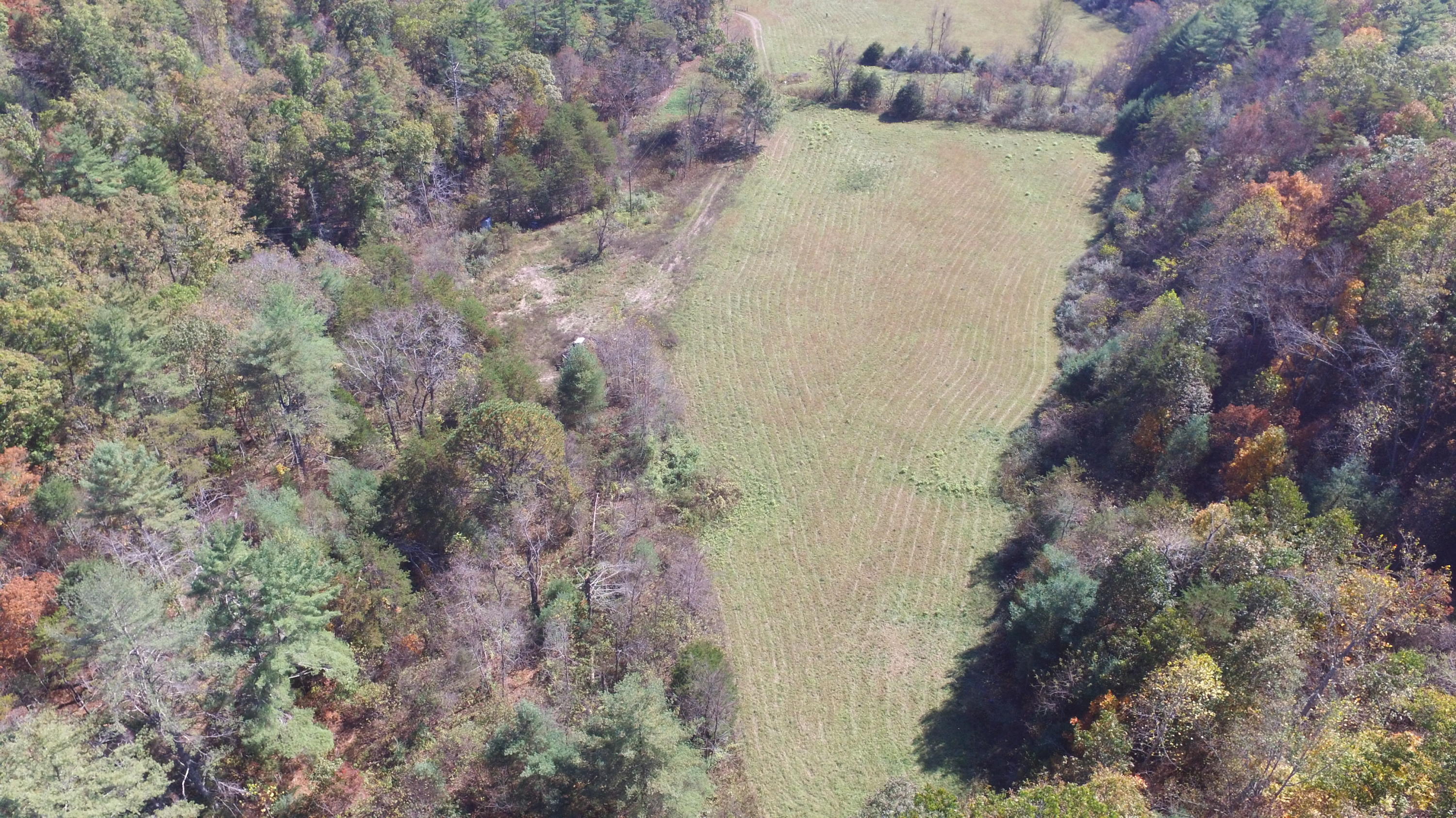124 Morris Hill Road Covington, VA 24426 - Photo 55 of 60 Arial View