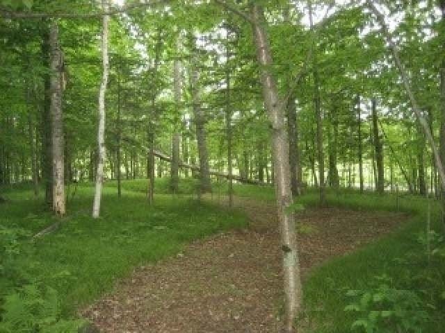 Lot 8 Weber Road Mercer, WI 54547 - Photo 1 of 12 Gallery Image 1