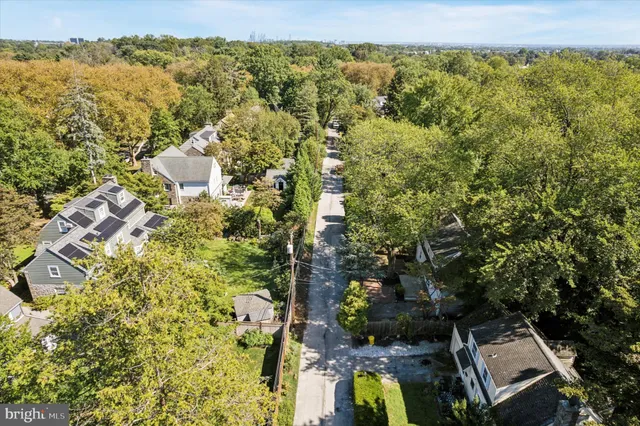 a view of a tree with a yard